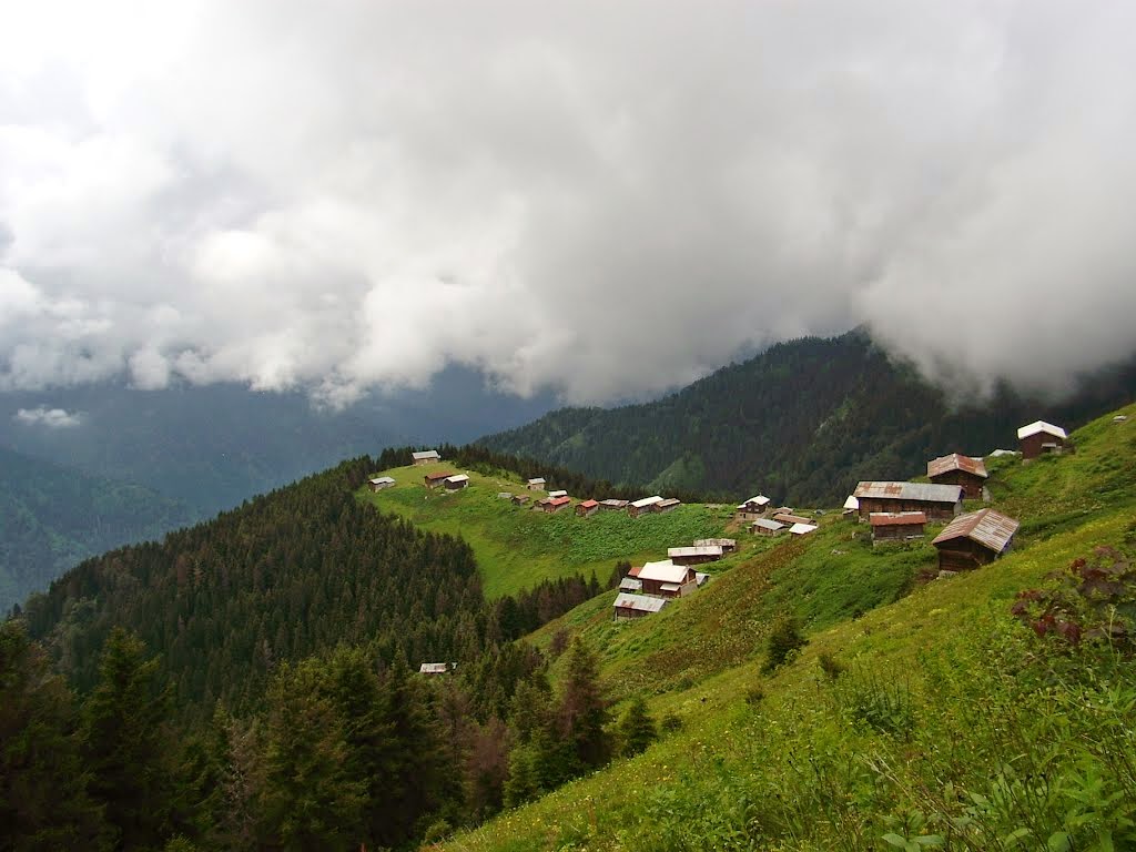 pokut1.jpg